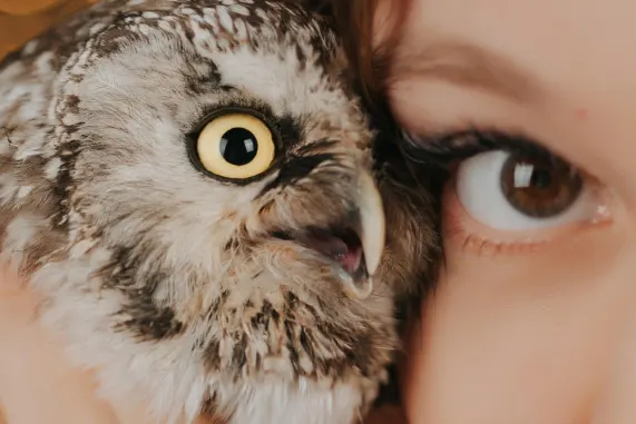 MatchUp Casino Supporto